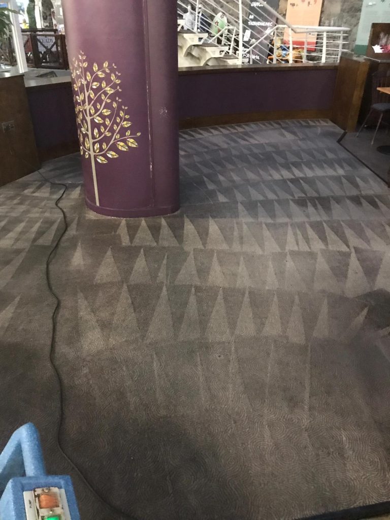 Protecting Your Carpet From Getting Damaged