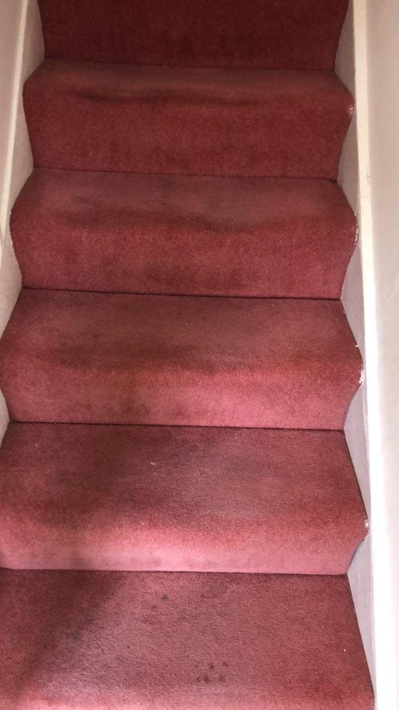 Carpet Cleaning Dublin 7