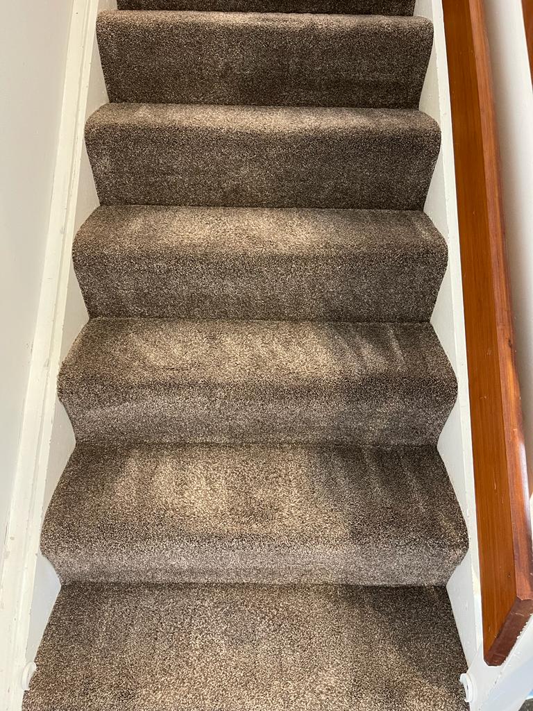 All-Season Carpet Care: Cleaning Strategies for Different Climates